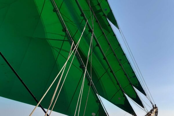 20240826_100551_copy_2181x2908 20240826_100551_copy_2181x2908