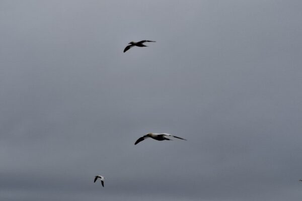 20250529_B 20250529_B