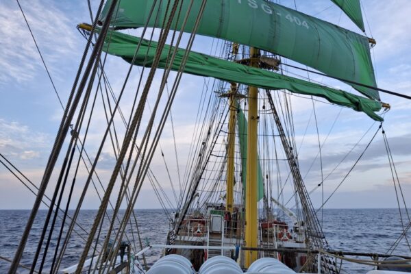 20250902_071055 20250902_071055